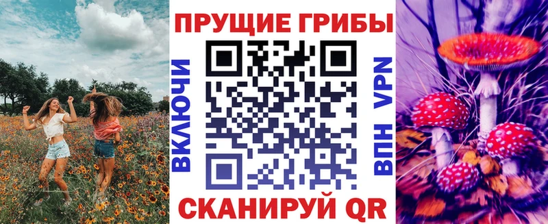 Галлюциногенные грибы прущие грибы  Москва 