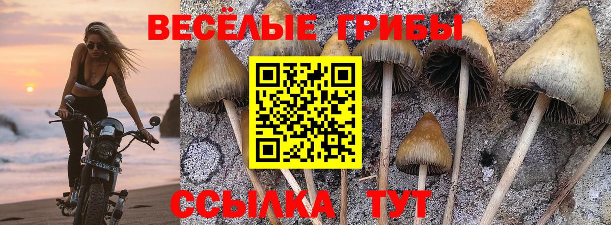Москва  Галлюциногенные грибы мицелий  Вход с VPN 