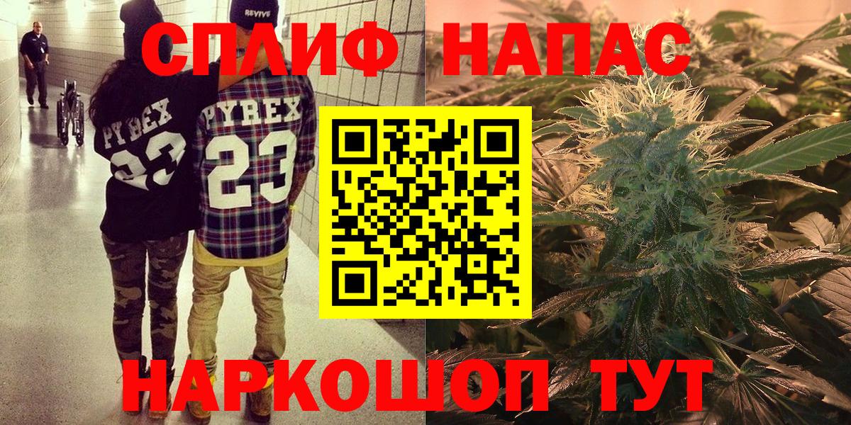 Бошки Шишки план Москва